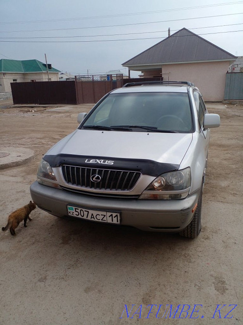 Lexus RX 300 Satylady  - photo 1
