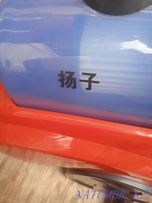 Satylady vacuum cleaner Urochishche Talgarbaytuma - photo 2