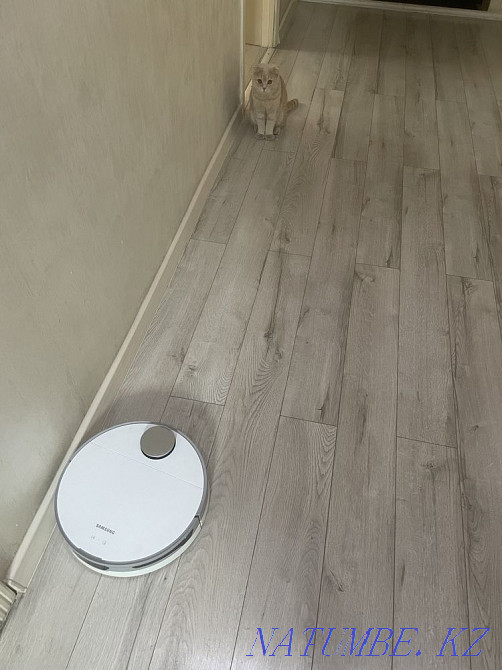 Робот пылесос Астана - изображение 3
