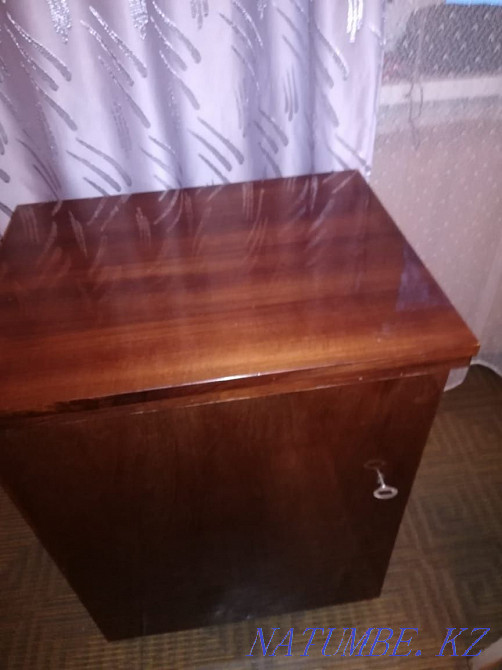 Foot electric machine Veritas Нуркен - photo 3