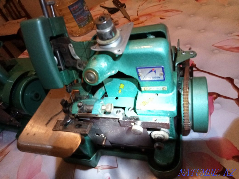 Оверлог китайский  - изображение 2