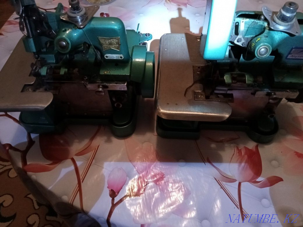 Оверлог китайский  - изображение 1