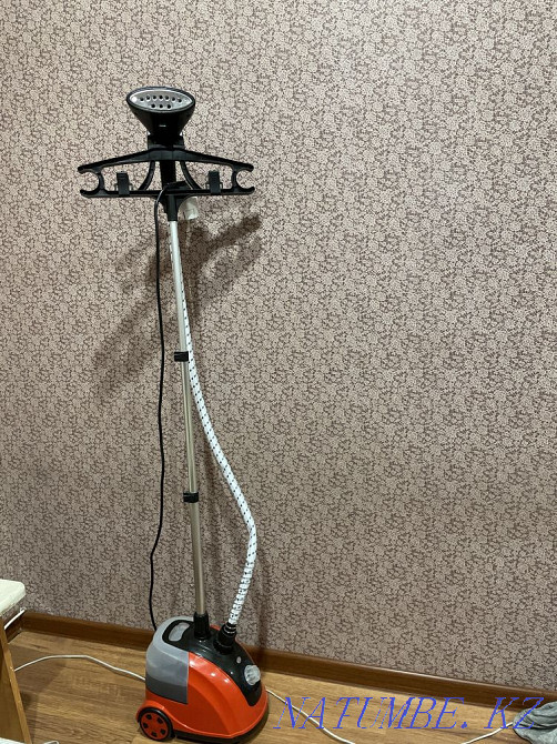 Steamer Brush NB307-C red Pavlodar - photo 1