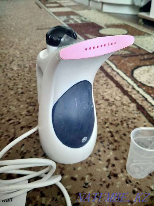 Hand steamer Petropavlovsk - photo 2