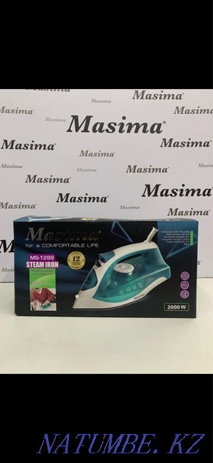 irons Балуана Шолака - photo 2