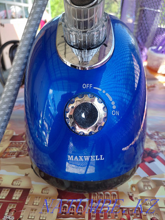 Steam iron Maxwell  - photo 1