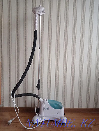 Steam ironing system Oral - photo 1