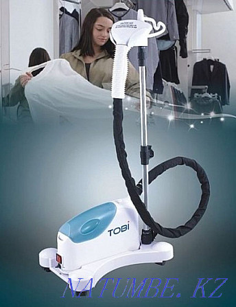 Steam ironing system Oral - photo 2