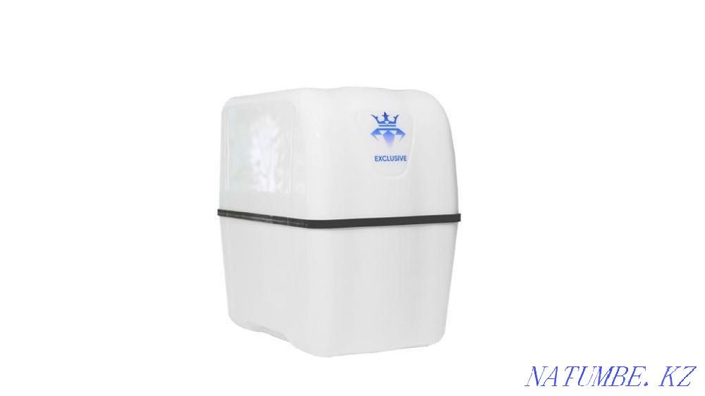 Primavera Company Abay - photo 1