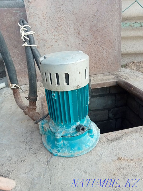 Agidel. bushy  - photo 5