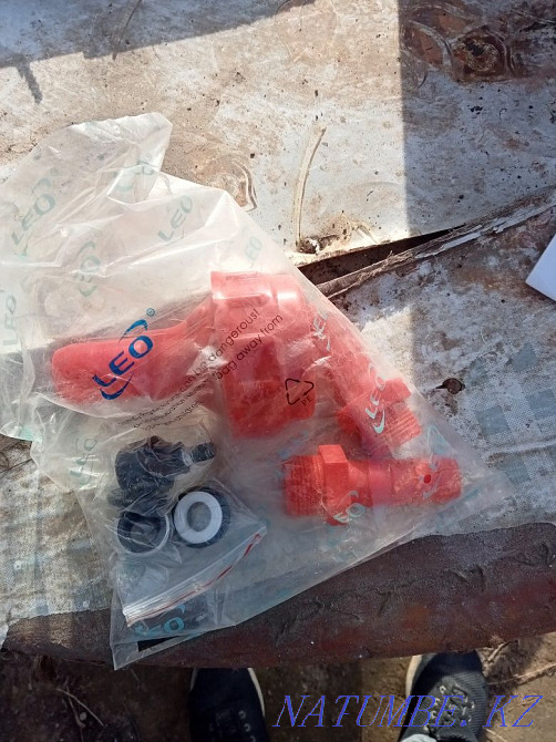 Agidel. bushy  - photo 1