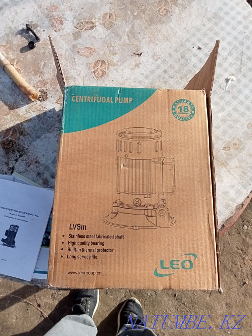 Agidel. bushy  - photo 3