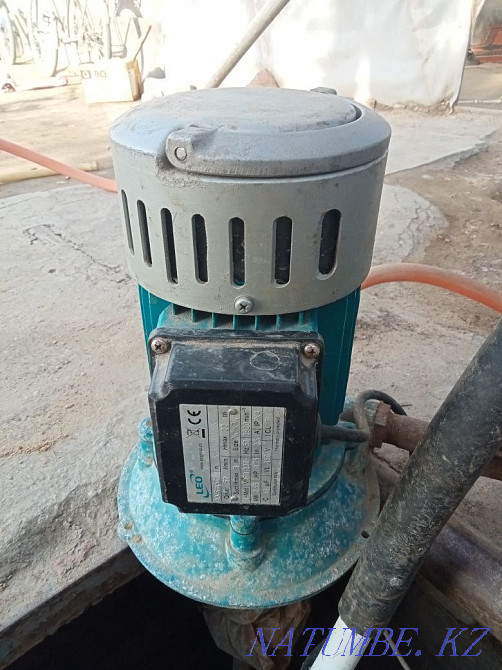 Agidel. bushy  - photo 4