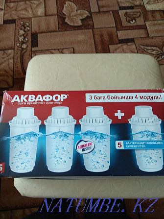 Filter cartridge Aquaphor (New) + Jug Petropavlovsk - photo 1