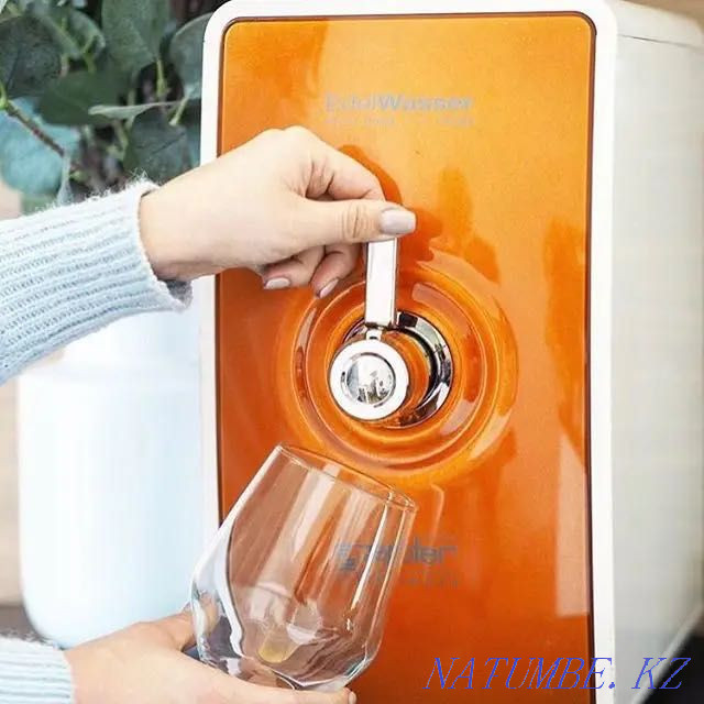 Сменные картриджи для очистителей воды Zepter Атырау - изображение 1