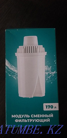 Filter (replaceable module) SMALL for jug "Aquaphor" Astana - photo 2