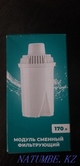 Filter (replaceable module) SMALL for jug "Aquaphor" Astana - photo 2