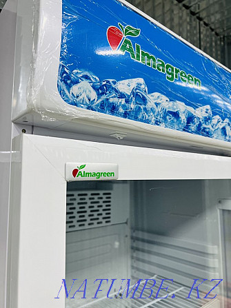 冰箱展示柜 Almagreen  - photo 5