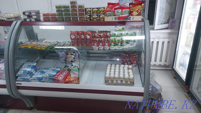 Витринный холодильник Алматы - изображение 2