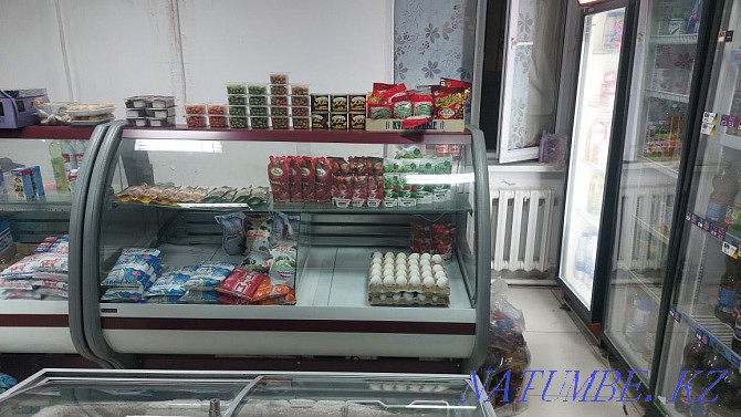 Витринный холодильник Алматы - изображение 3