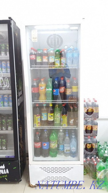 Display refrigerator Балуана Шолака - photo 1