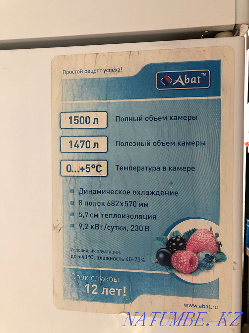 Refrigerator professional Aqtau - photo 2