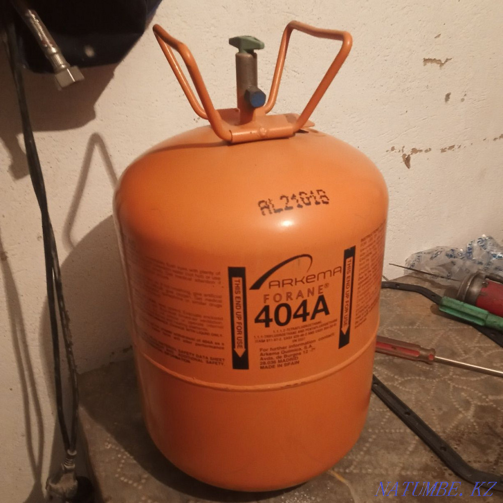 Frion satvlady sell Shymkent - photo 2