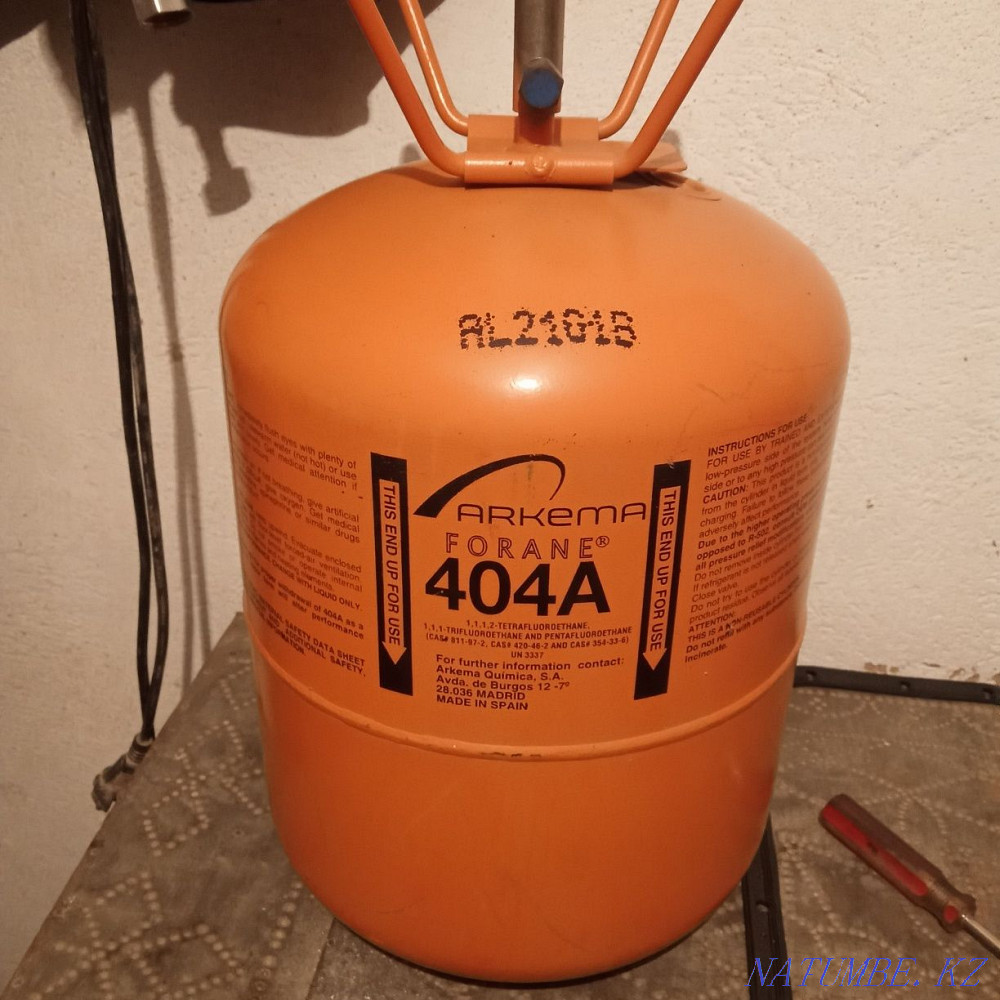 Frion satvlady sell Shymkent - photo 1