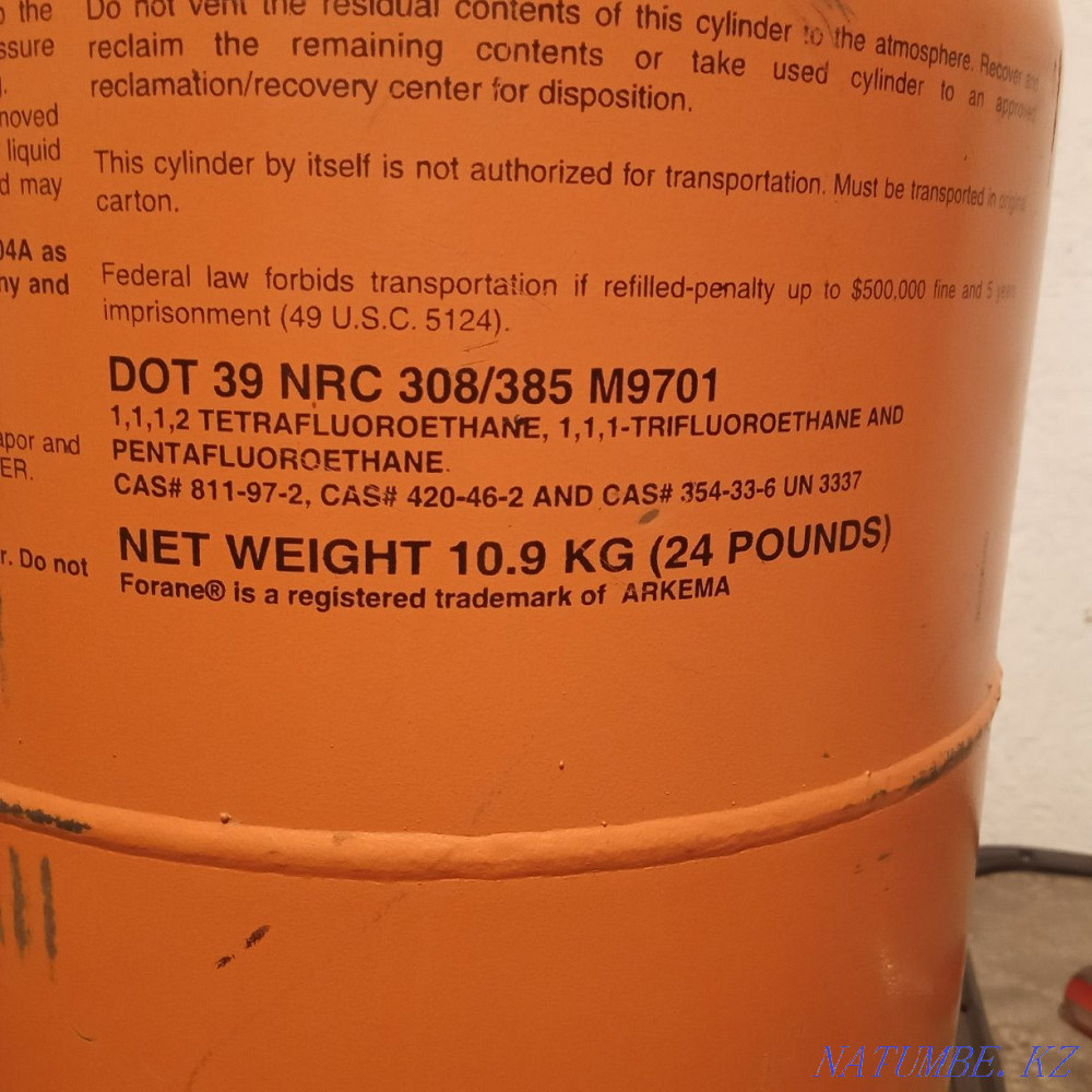 Frion satvlady sell Shymkent - photo 3