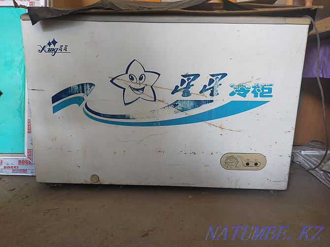 Refrigerator, sewing machine and freezer for sale Urochishche Talgarbaytuma - photo 2