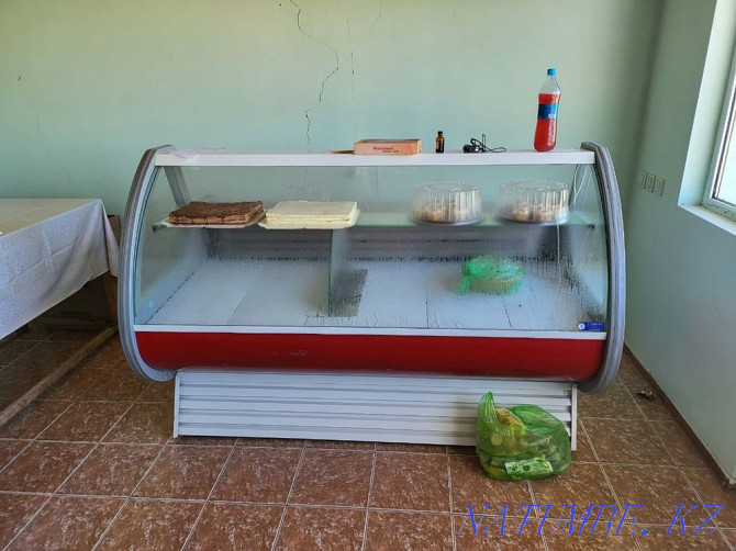 refrigerator freezer Shymkent - photo 1