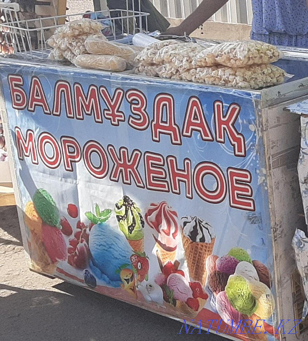 Продам холодильник Темиртау - изображение 4