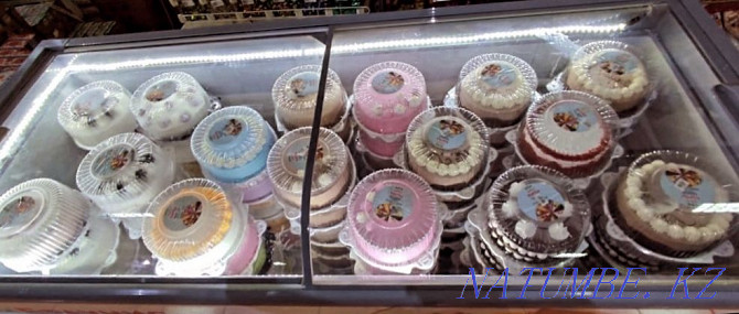 Морозильники 160см, 210 см Кызылорда - изображение 2