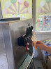 Мороженое аппарат Shymkent