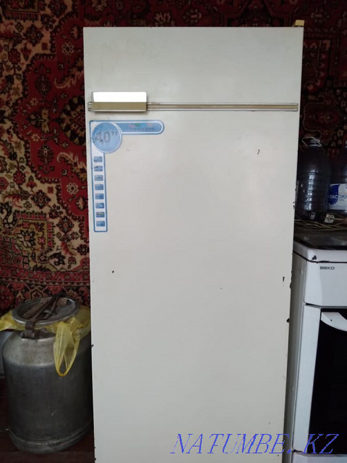Fridge Rudnyy - photo 2