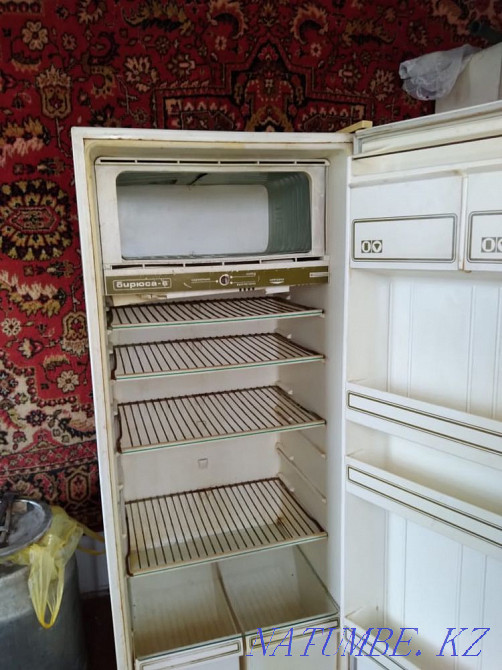 Fridge Rudnyy - photo 1