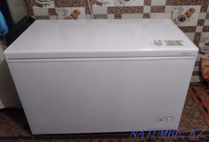 Freezer Biryusa 355 liter chest freezer Petropavlovsk - photo 2