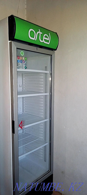 refrigerator Turkestan - photo 1