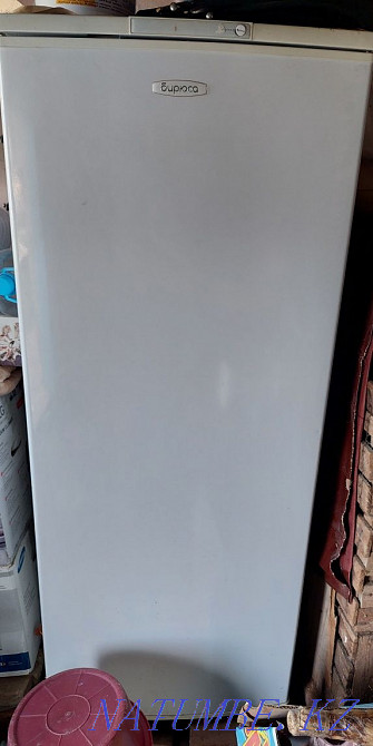 Холодильник Бирюса  - изображение 2