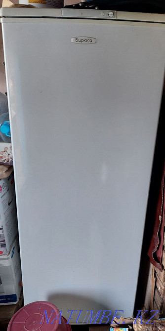 Холодильник Бирюса  - изображение 1