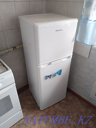 Refrigerator Elenberg Мичуринское - photo 2