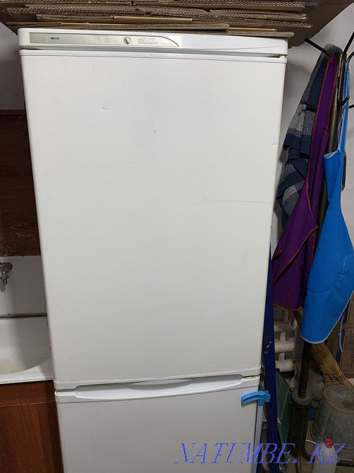 Холодильник Большой чаган - изображение 1