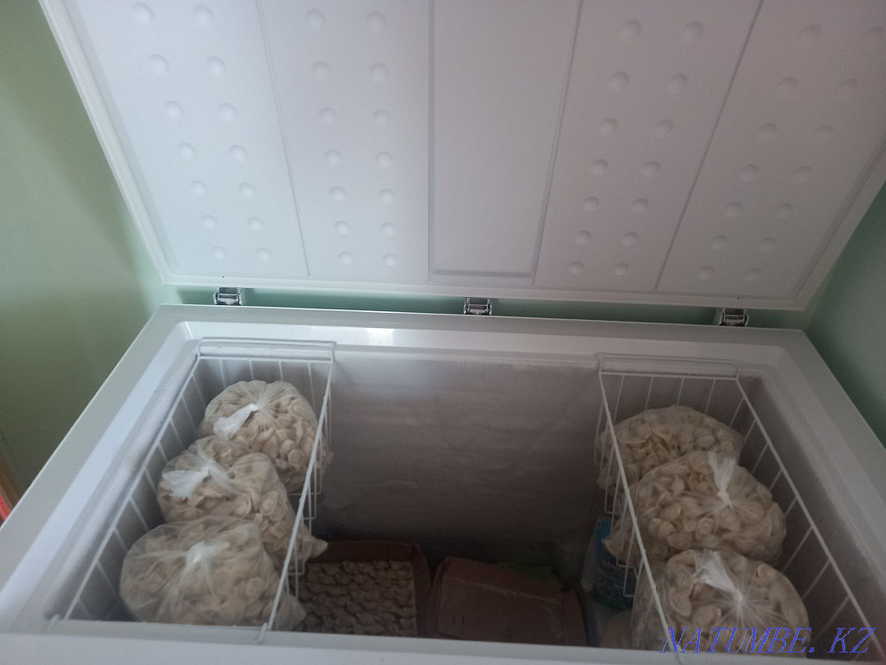 Морозильник Dauscher. Шиели - изображение 2