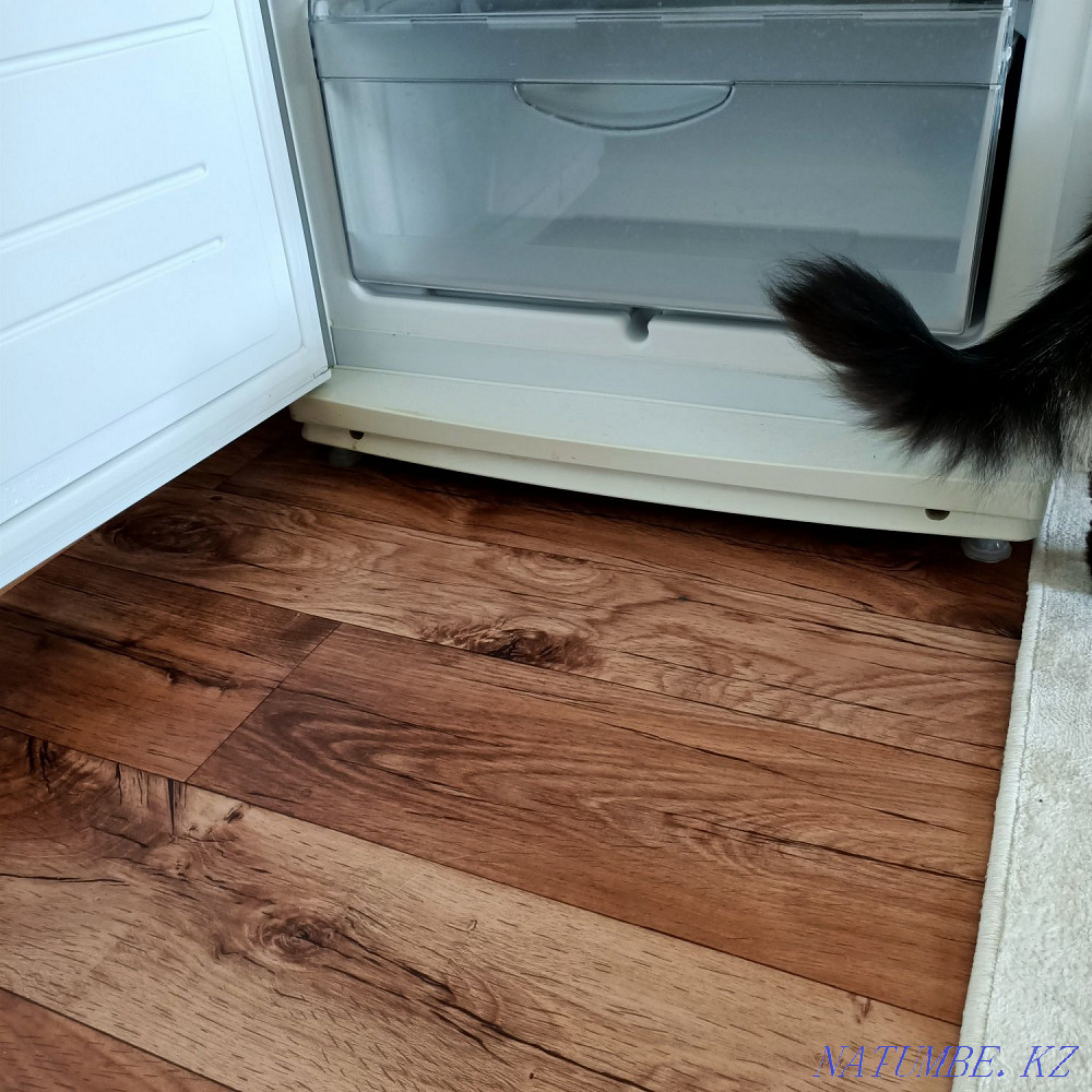 Холодильник в отличном состоянии. Петропавловск - изображение 3