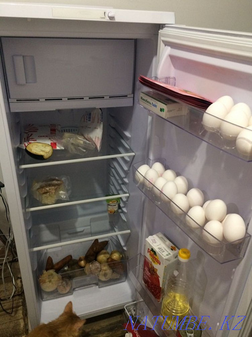 Продам холодильник Астана - изображение 4