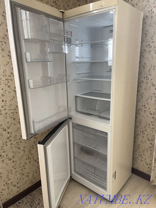 Refrigerator LG Astana - photo 6