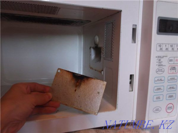Mica plate burned in the microwave Astana - photo 1