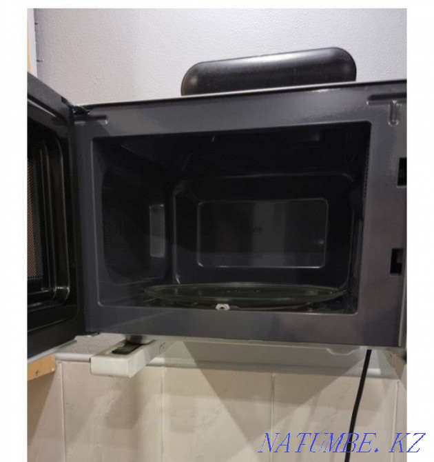 Microwave Rudnyy - photo 3