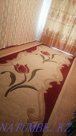 Microwave.carpet. plate. Shymkent - photo 4