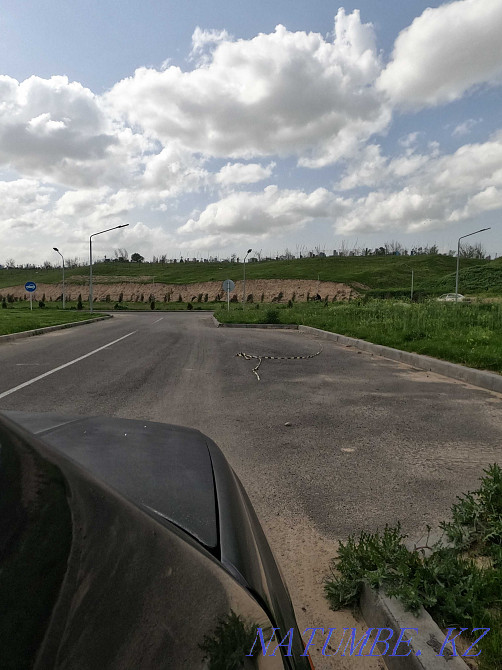 Driving instructor , practice , driving instructor , driving school . Shymkent - photo 6